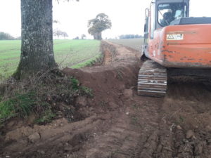Breizh bocage