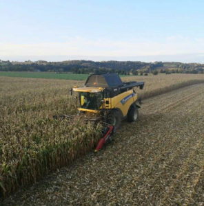 NH CR 8070 avec bec cueilleur Geringhoff 8 rangs