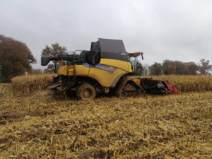 NH CR 8070 avec bec cueilleur Geringhoff 8 rangs