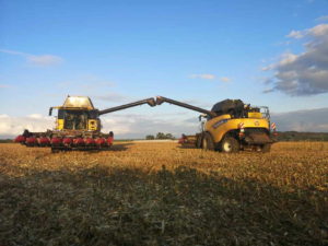 NH CR 8070 avec bec cueilleur Geringhoff 8 rangs
