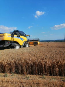 NH CX 8070 coupe NH 7,30m Varifeed