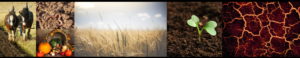 Agriculture