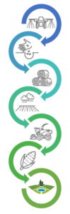 Calendrier agricole
