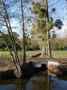 Pont cadre